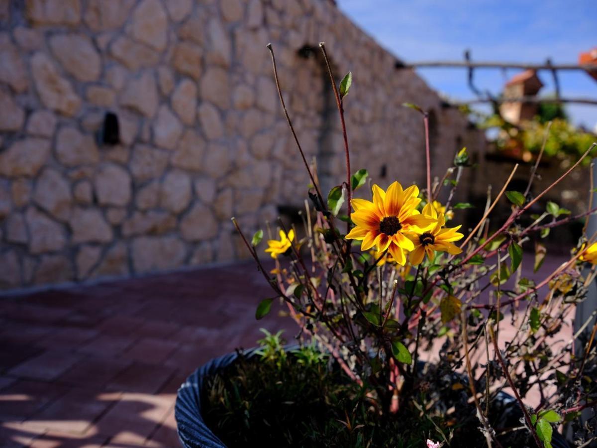 Secret Wellness Apartment Bodonci Exterior foto